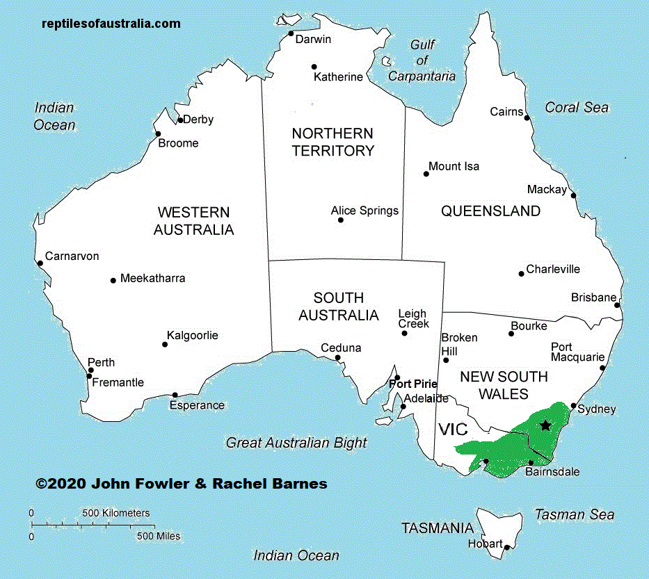 Approximate distribution of the Spencers' Skink (Pseudemoia spenceri) 
